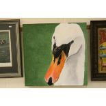 Steven Shaw, contemporary oil on canvas, mute swan, titled verso 'Up Close and Personal' approx 60cm