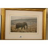 Stephen Gayford signed ltd edn wildlife print of a bull elephant no.165 of 550