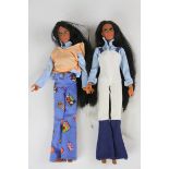 Two 'Mego Corp 1975' Cher Dolls in outfits