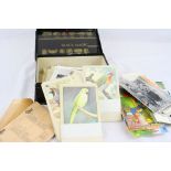 Box of Vintage Postcards including over Forty Saucy Seaside Postcards, large quantity of P. Sluis