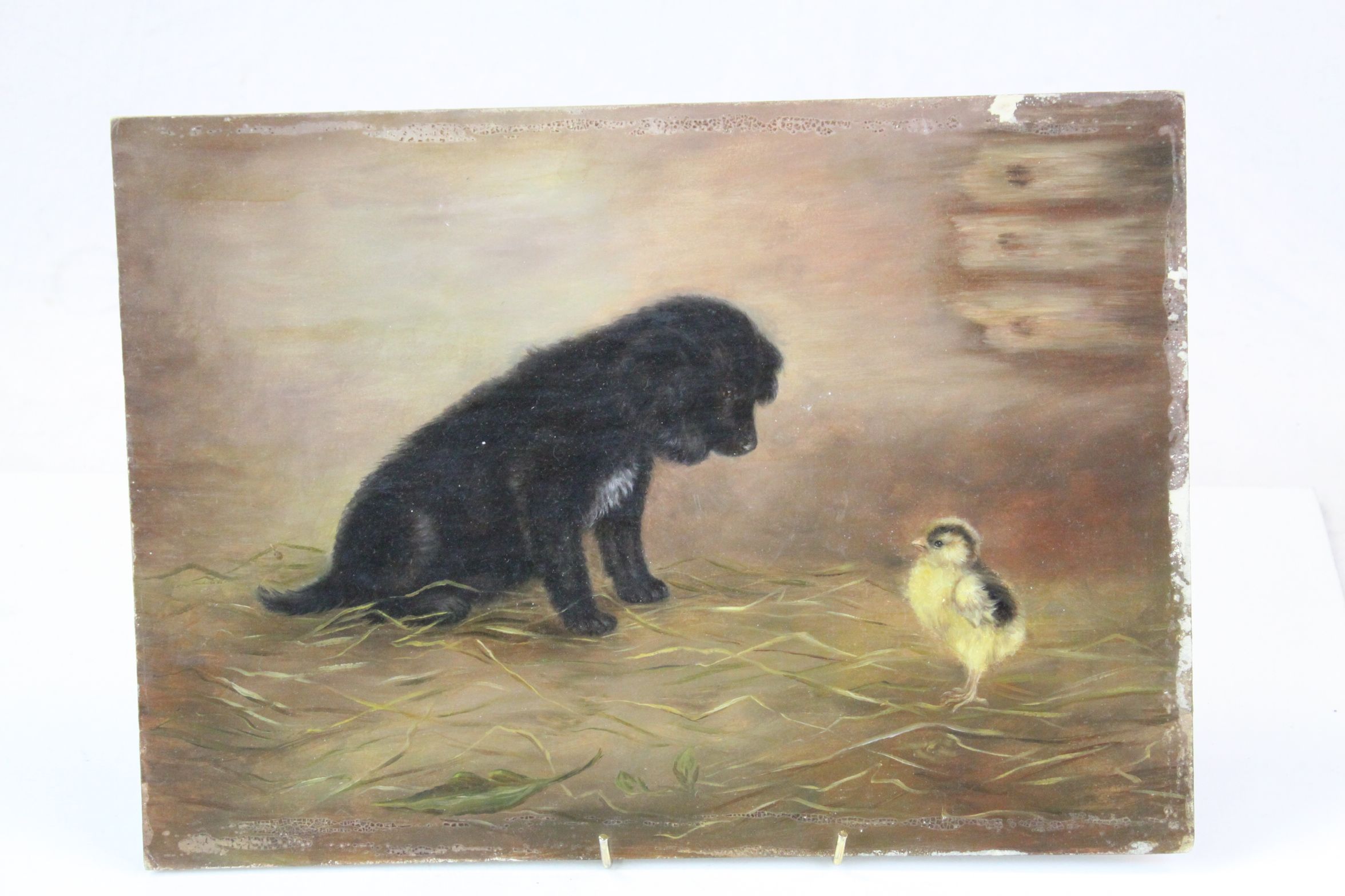 Unframed Oil on board of a Dog & Chick, unsigned, measures approx 35.5 x 25.5cm