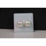 Pair of Large Cultured Pearl Stud Earrings on Silver Posts