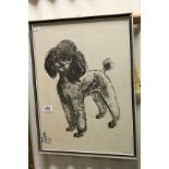Framed and glazed David Kivok-Belle Poodle print