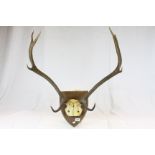 Antique four point red deer antlers mounted on an oak shield