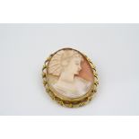 Shell cameo 9ct yellow gold brooch, the cameo depicting female profile, collet setting, scroll and