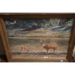 T De Hider mid 20th century signed oil on canvas of a stag and hind deer by a lake. 48 x 61cm