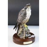 Royal Doulton bird figure of a Peregrine Falcon ltd edn no.2298 of 2500 dated 1988