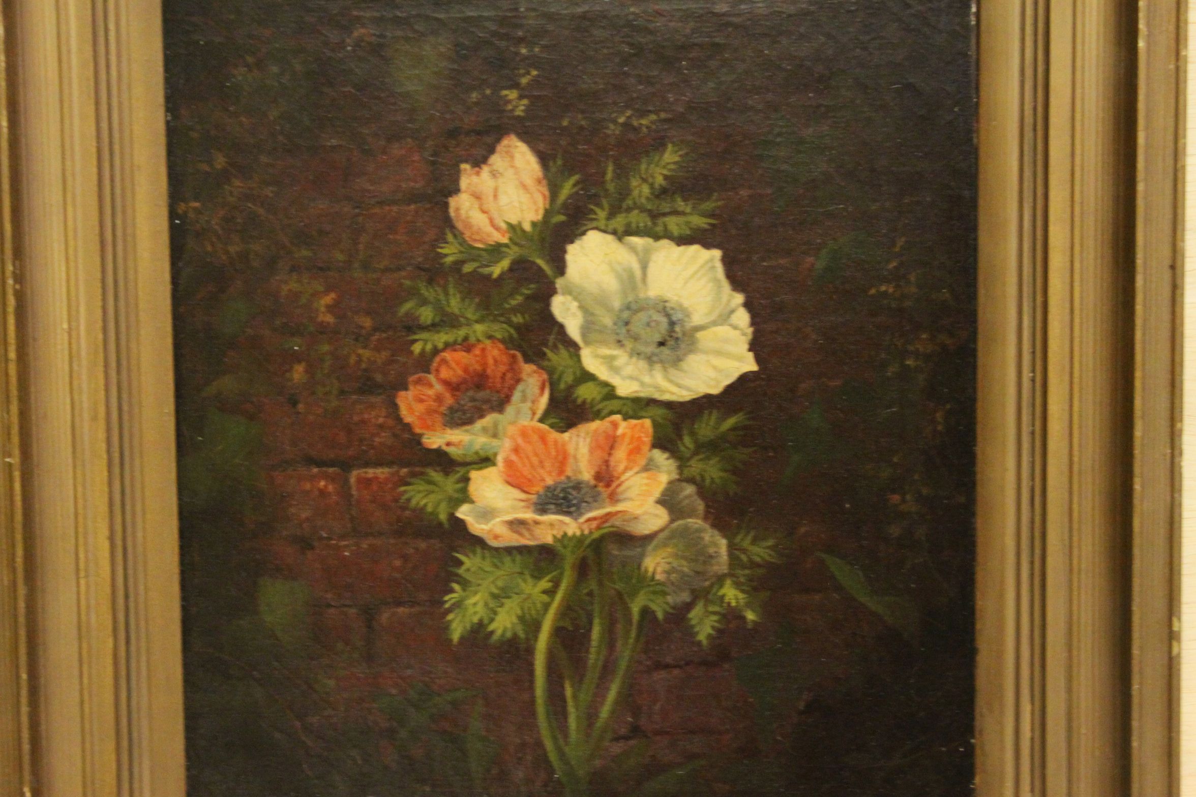 Late 19th / Early 20th century Oil Painting on Canvas of Still Life Flowers, signed RC, 29cms x - Image 2 of 5