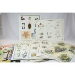 Folder containing 59 Coloured Natural History Educational Posters, each measures, 54cms x 43cms plus