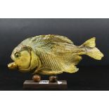 Taxidermy Piranha Fish mounted on a Wooden Stand, 28cms long