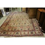 Large Cream Ground Rug with a pattern of stylised foliage within a border, approximately 347cms x