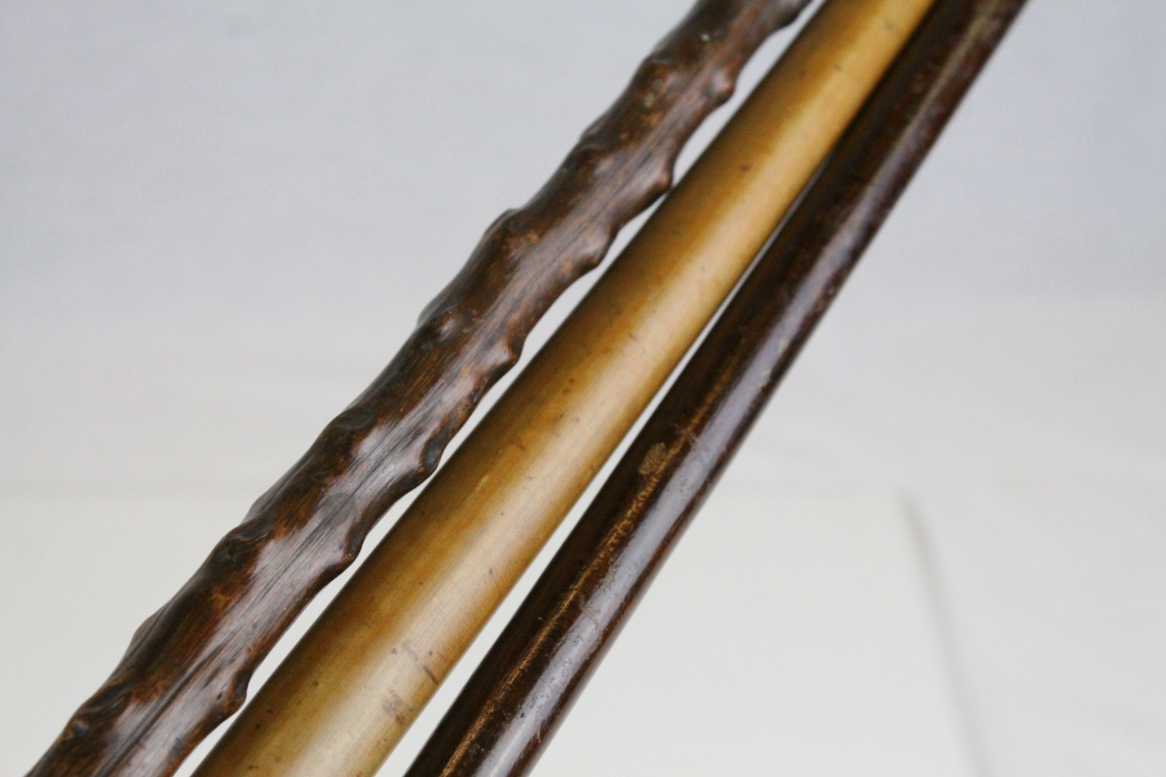 Three Walking Sticks - one with Dog, one with Silver Collar and one Rustic - Image 4 of 4