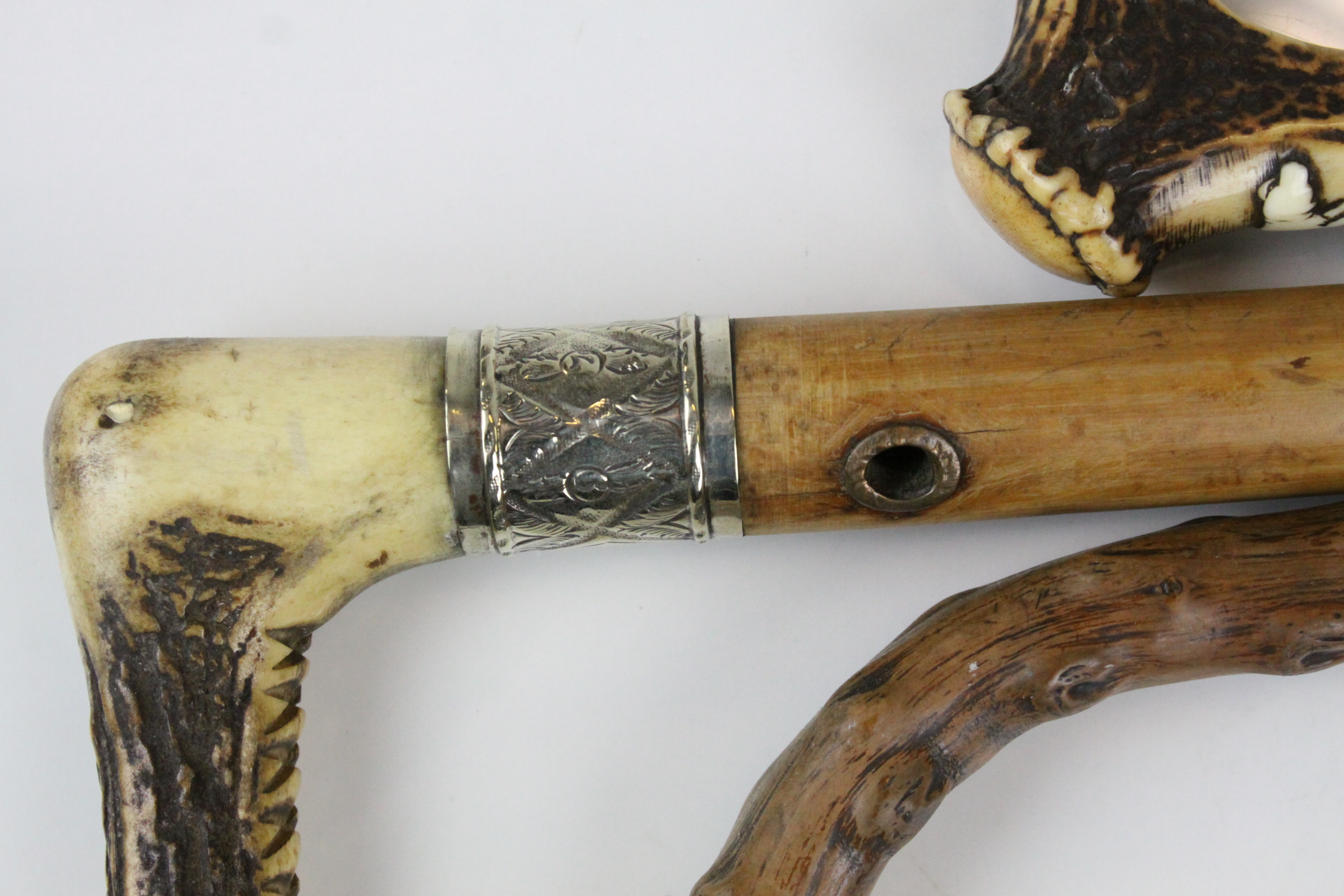 Three Walking Sticks - one with Dog, one with Silver Collar and one Rustic - Image 3 of 4