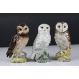 Three Royal Doulton ' Whyte & Mackay Scotch Whiskey ' Owl Decanters including Barn Owl, Snowy Owl