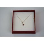 A 9ct gold & ruby pendant and necklace set.