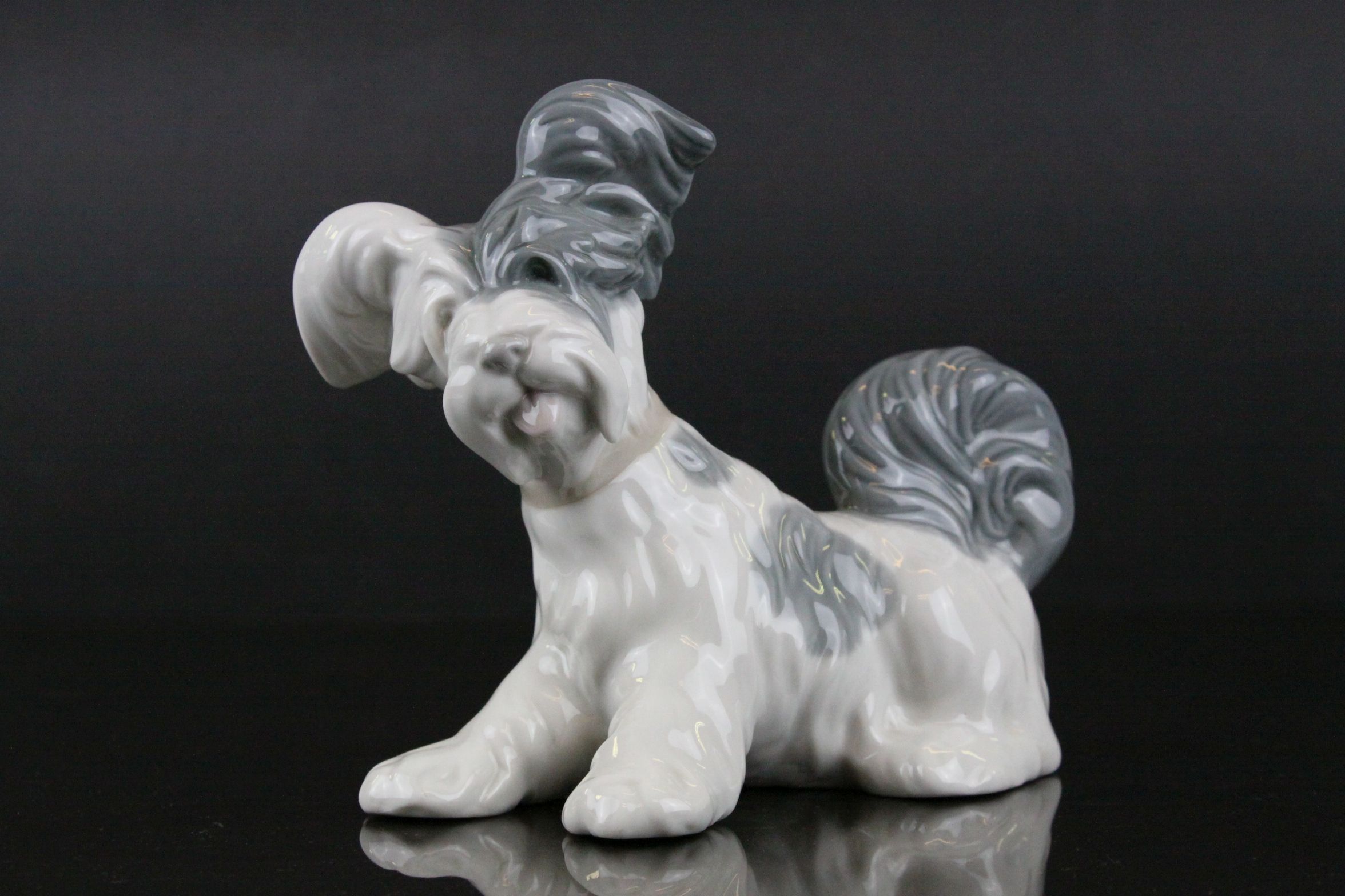 Two Lladro Dogs - Grey and White Terrier plus Terrier with Butterfly on Tail, largest 15cms high - Image 6 of 8