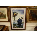 A signed ornithological oil painting study of blue macaws on tree bough, 59 x 33cm