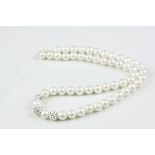A row of freshwater pearls with silver clasp