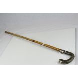 Horn Handled Walking Stick with White Metal Tip and Band