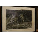 Herbert Thomas Dicksee (British 1862-1942): 'Family of Lions', Etching signed in pencil to margin,