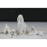Three Russian Lomonosov Porcelain Poodles