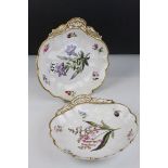 A pair of porcelain shell shaped botanical dishes, probably Coalport, moulded and painted with