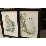 Edward Lear a pair of Ornithological prints of snowy and barred owls 55 x 37cm