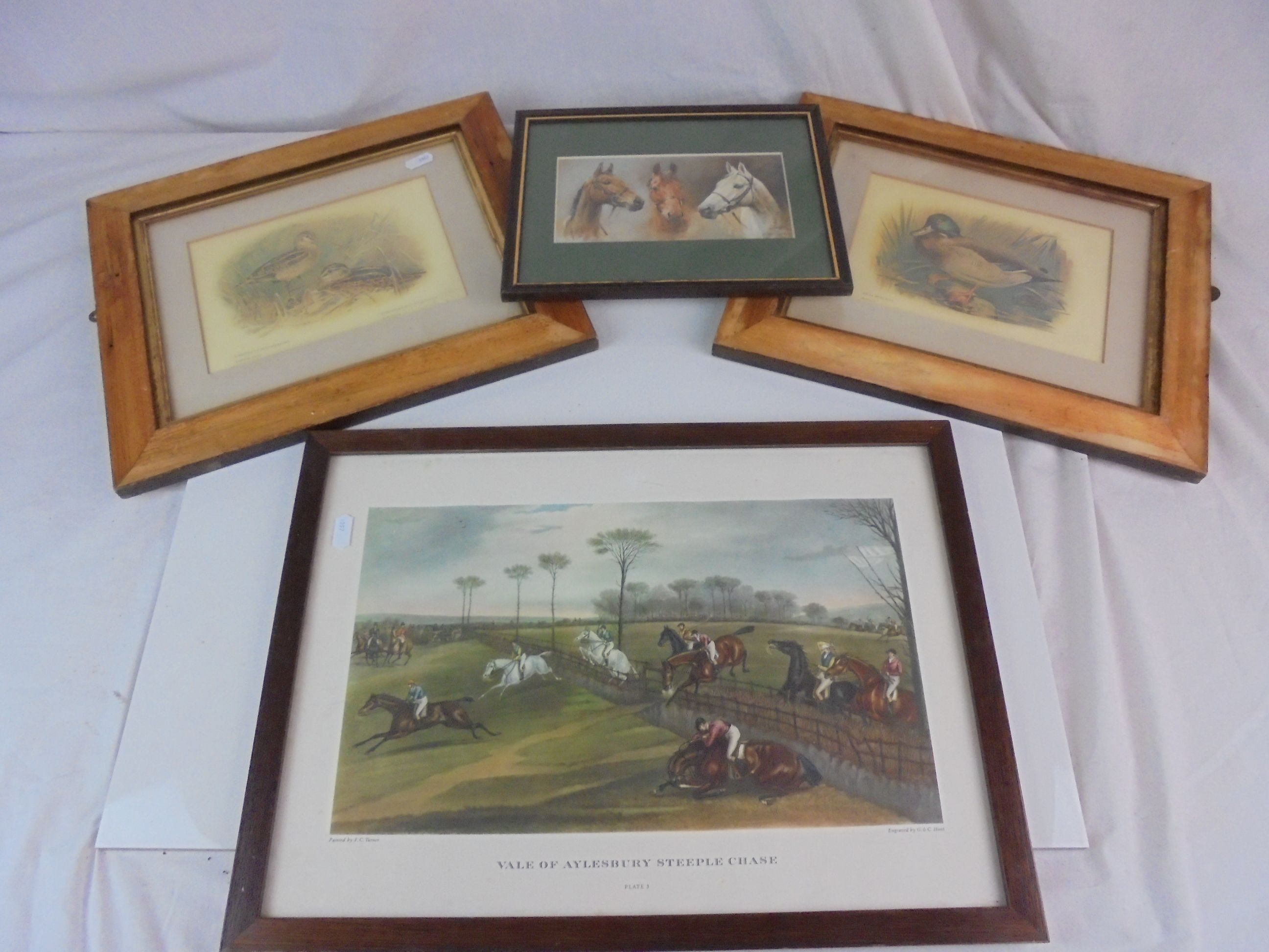 Six framed and glazed bird prints & two of horse interest (8) - Image 3 of 3