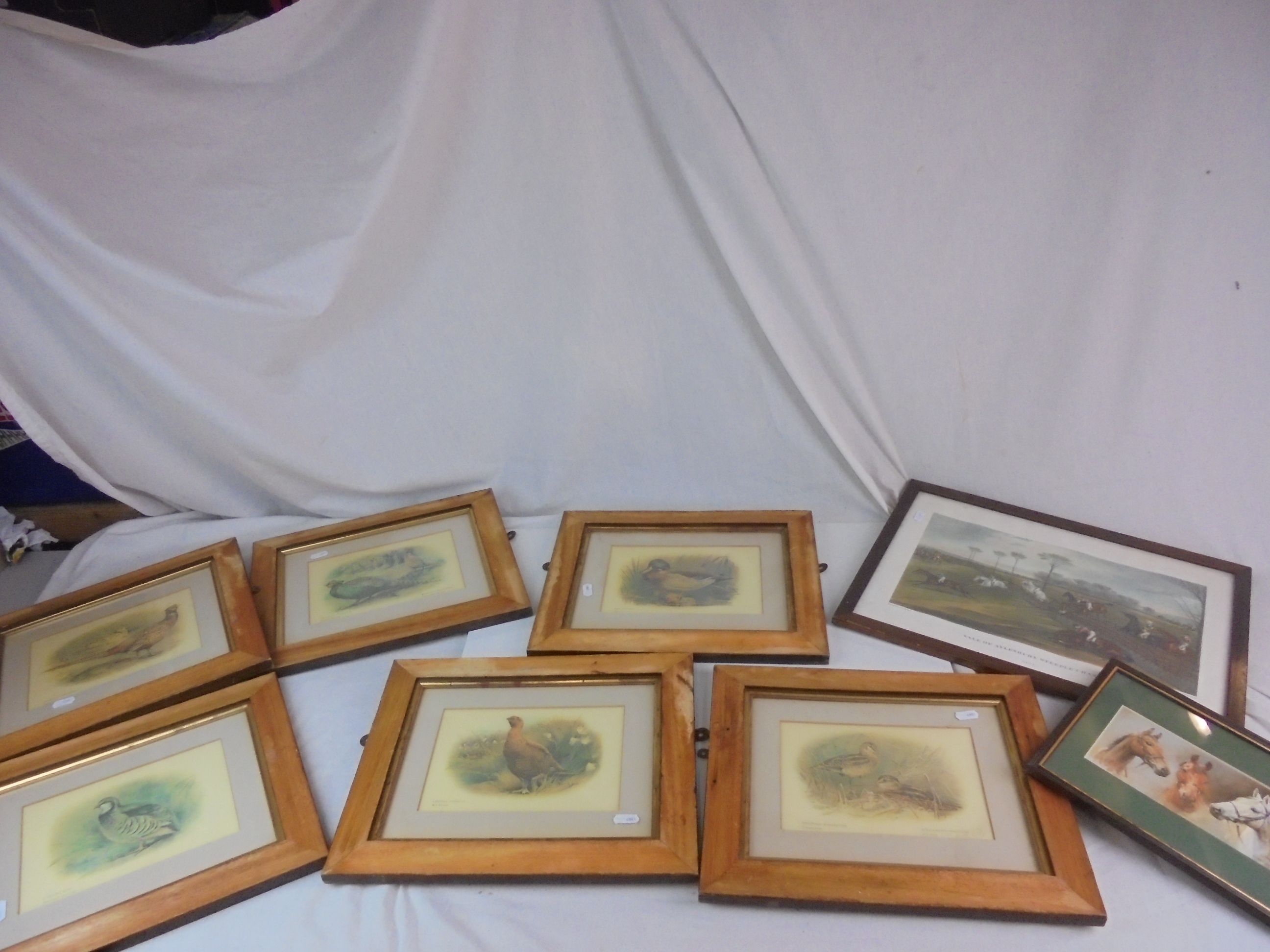 Six framed and glazed bird prints & two of horse interest (8)