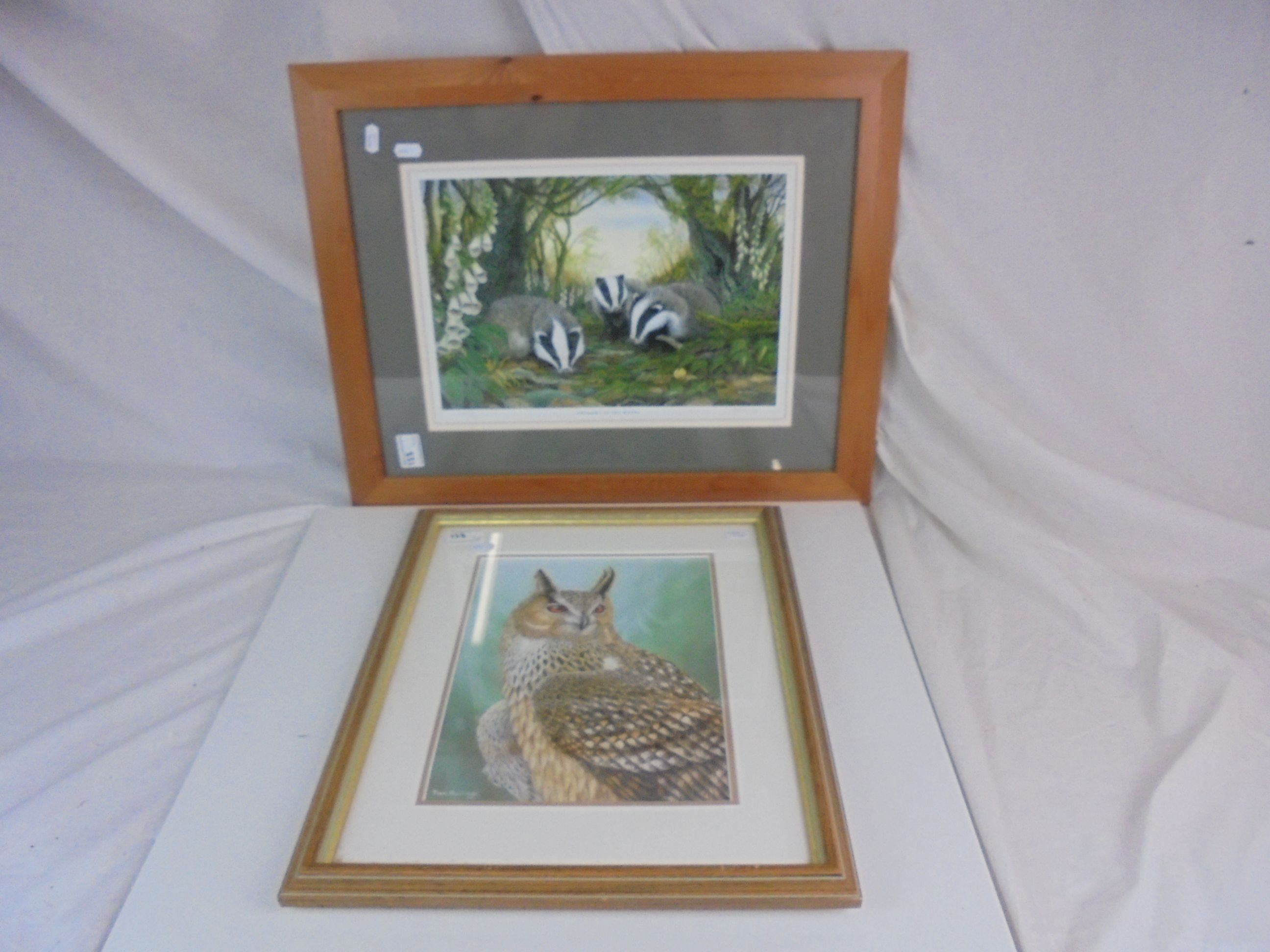 Two framed and glazed nature prints, badgers and an owl (2)