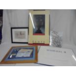 Olympic Games - framed and glazed limited edition Sydney 2000 'Olympic Good Sports' display,