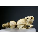 A 19th Century ivory netsuke of a rat, signed. Seated looking backards with it's tail running