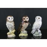 Three Royal Doulton ' Whyte & Mackay Scotch Whiskey ' Owl Decanters including Barn Owl, Snowy Owl