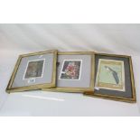 Pair of Kate Daunt Paper Collages titled Golden Tulips and Pink Tulips, 14cms x 10cms, framed and