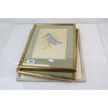 Set of Three Watercolours of Birds by Richard Sutton, signed and a Watercolour of Children on the