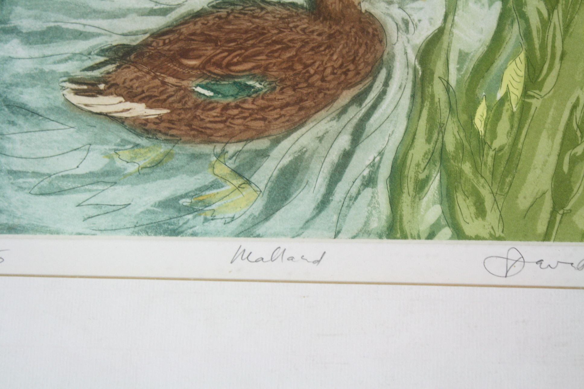 David Koster (1926-2014) Mallard, limited edition print 11/50, signed numbered and titled in pencil, - Image 3 of 5