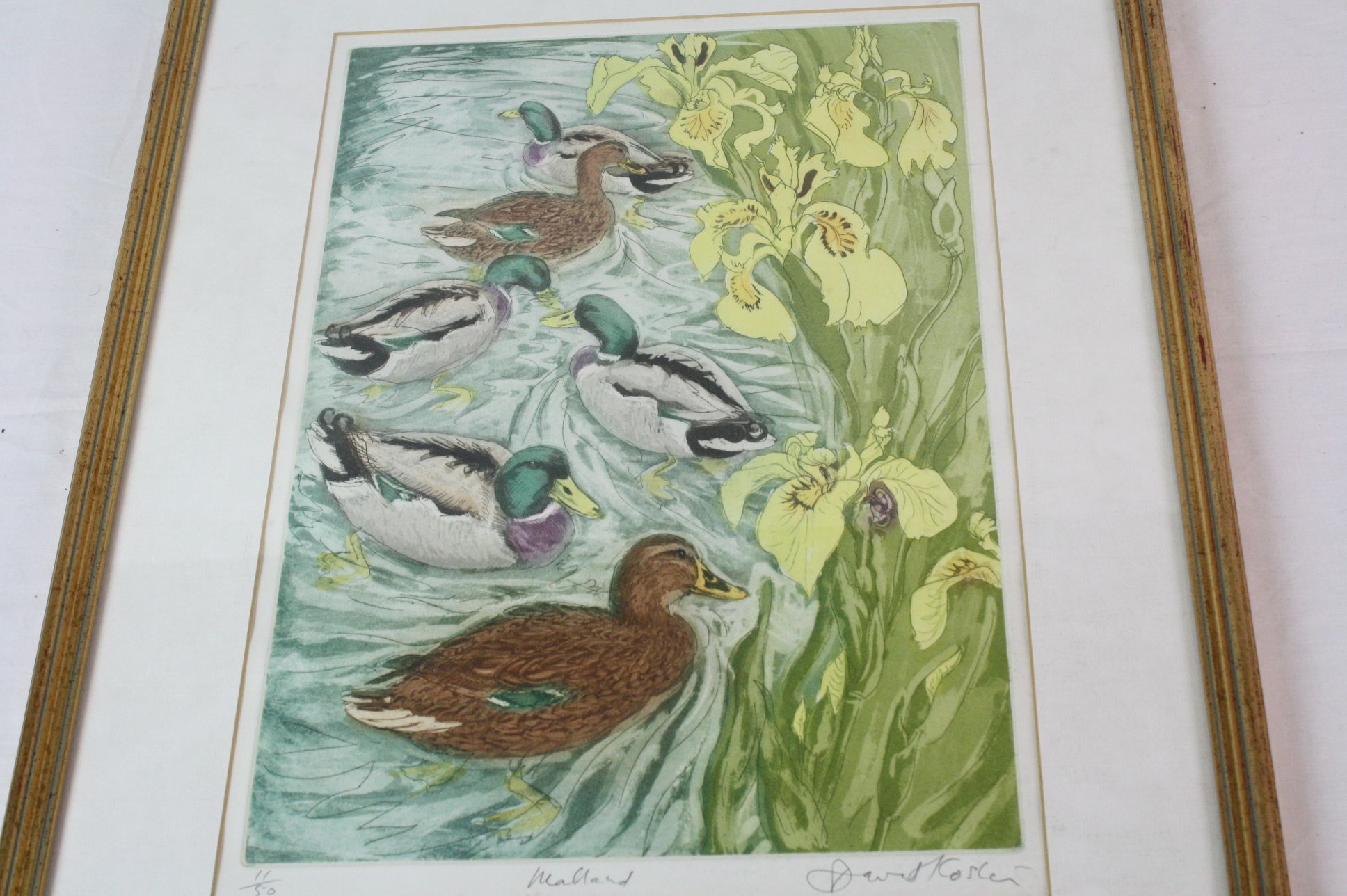 David Koster (1926-2014) Mallard, limited edition print 11/50, signed numbered and titled in pencil, - Image 2 of 5