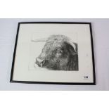 Chris Aggs, Signed Limited Edition Etching, The Head of a Bull, no. 18/35, image 30cms x 25cms,