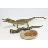 Small Taxidermy Alligator / Cayman together with an Antelope Horn with Brass Lid and Natural