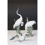 Three Lladro Models of Cranes including Dancing Crane 1614, Bowing Crane 1613 and Landing Crane