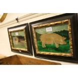 Pair of Paintings of Pigs titled ' Ruby ' and ' Eve '