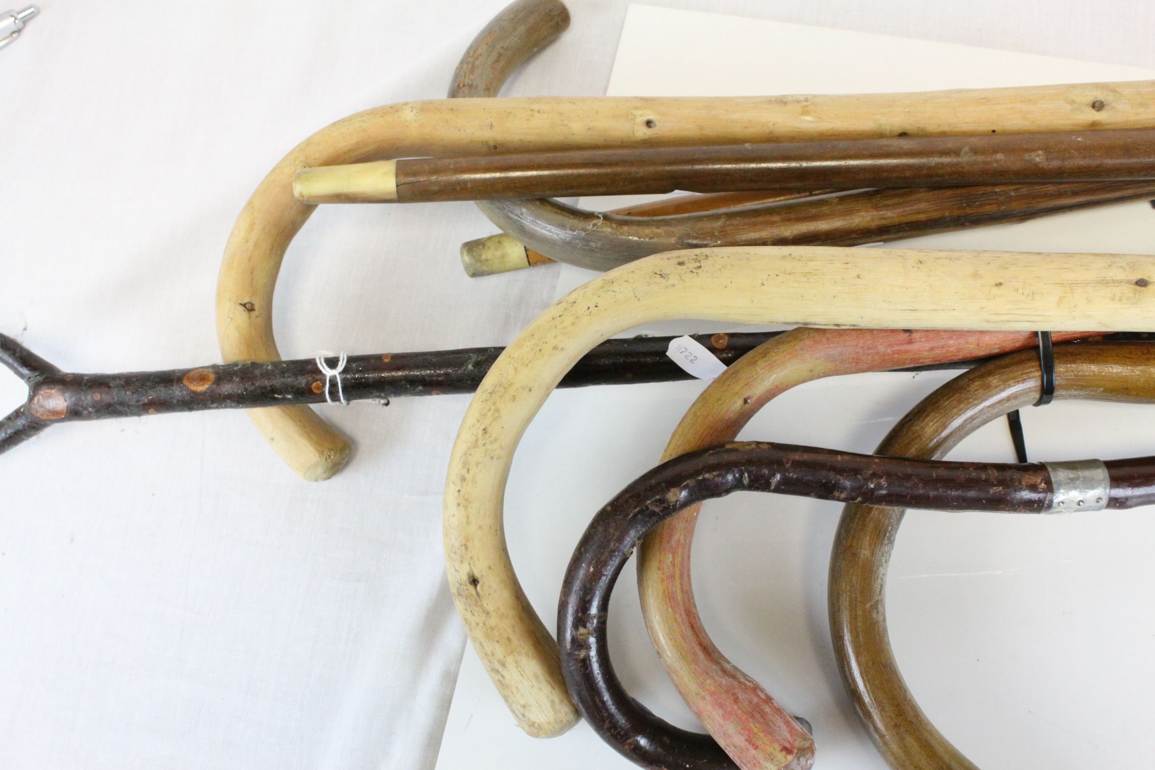 Collection of Eight Walking Sticks - Image 4 of 4