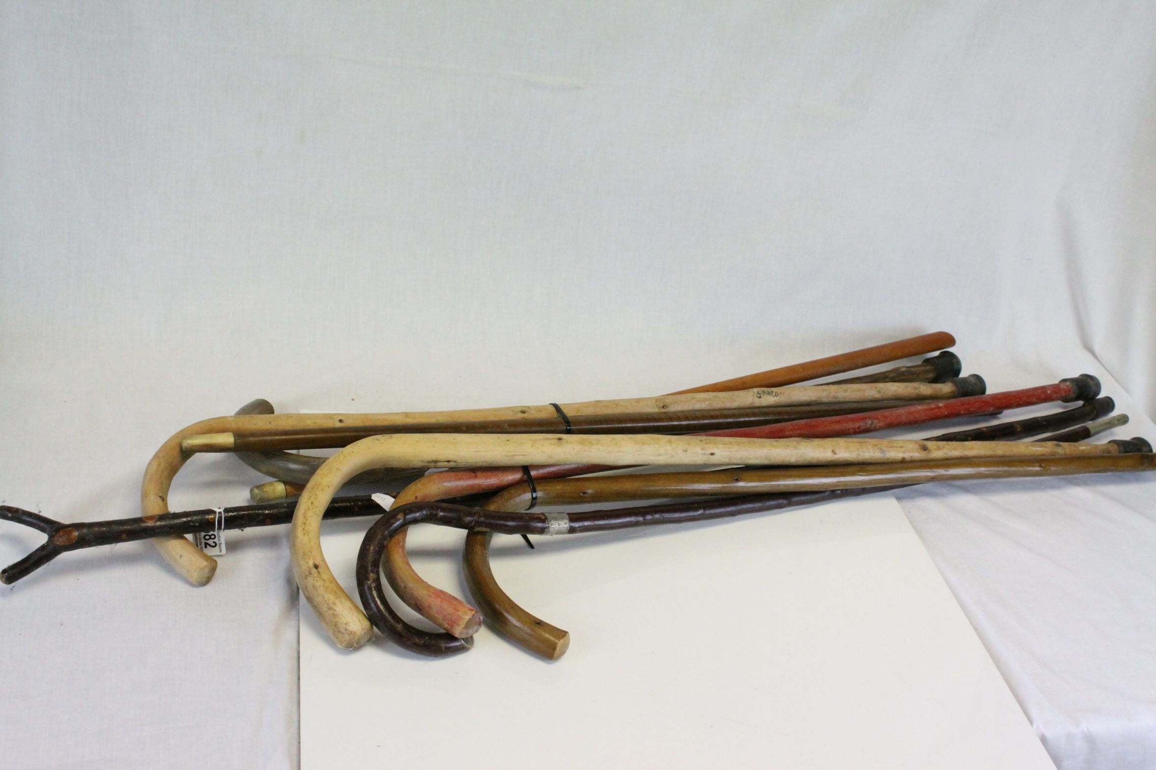 Collection of Eight Walking Sticks