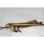 Collection of Eight Walking Sticks