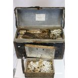 Iron-bound Travelling Chest containing a collection of shells, some with contemporary labels, in two