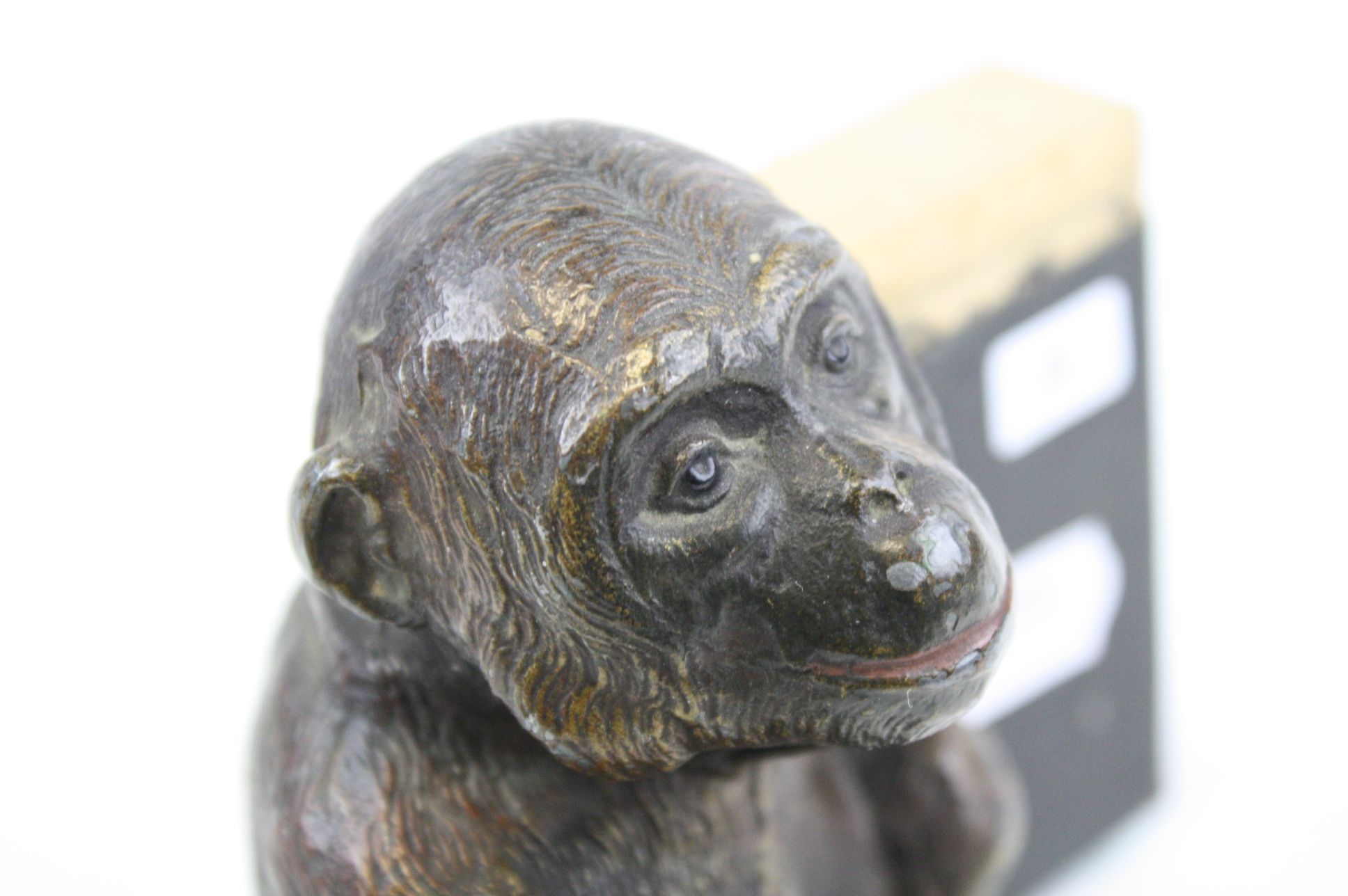 An early 20th century cold painted spelter match holder in the form of a monkey. - Image 3 of 6