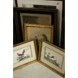 A pair of framed oriental painting of exotic birds, three framed to include maple framed.