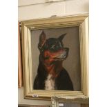 Oil on Board, Gilt Framed Study of a Fighting Dog, 36.5cms x 30cms