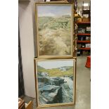 Elaine Jones. Two Oil Paintings on Canvas, House Beyond the Dunes and Waterfall, both signed and