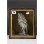 A antique taxidermy Little Owl mounted in a pine glazed case.